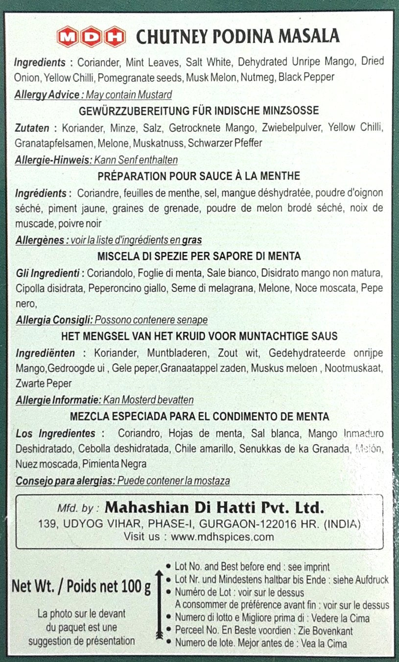 MDH Chutney Podina Masala 100g - Image 2