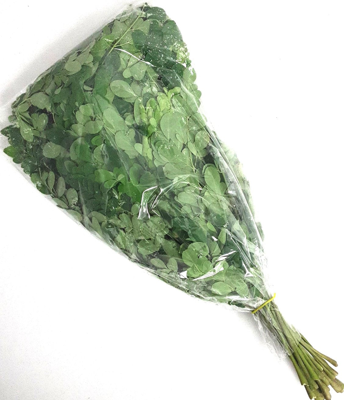 Drumstick Leaves Bunch 200g Approx - Image 2
