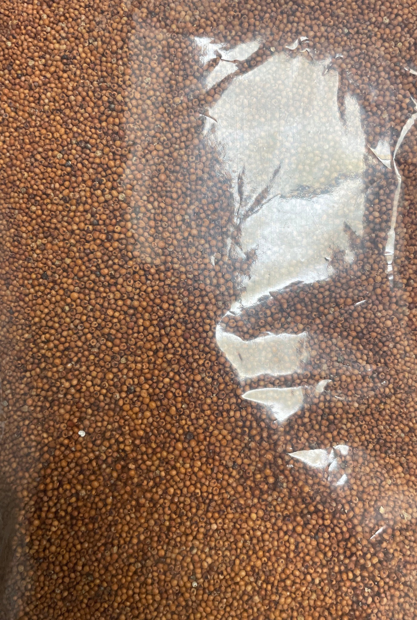 Farmers Gold Ragi Whole 500g - Image 2