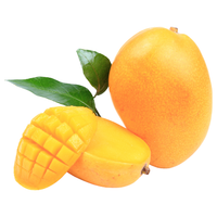 Grand Size Alphonso Mango 12pcs