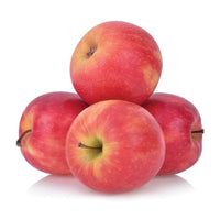 Apple Pink Lady x 4