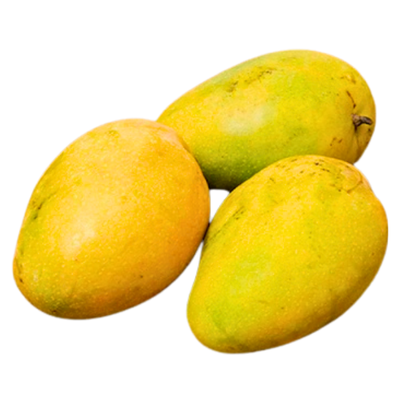Badami Banganapalle Jumbo Mango (8-10 Pcs)