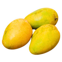 Badami Banganapalle Jumbo Mango (8-10 Pcs)
