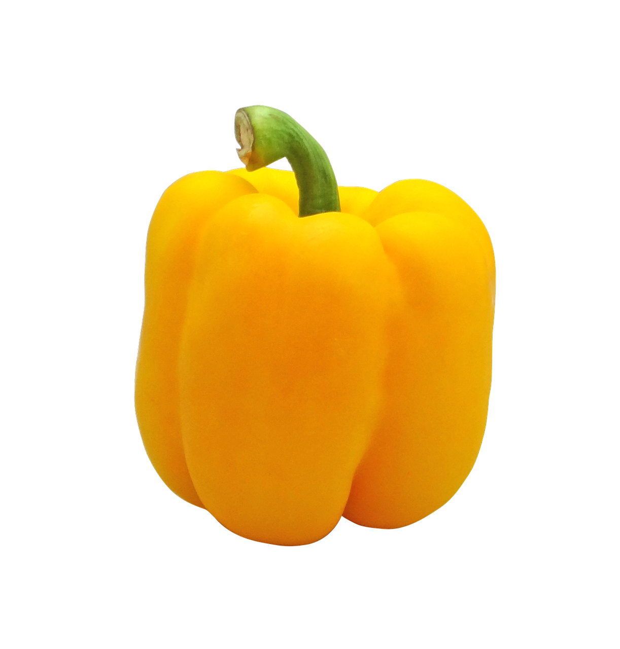 Capsicum Yellow