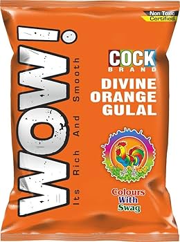 Holi Colours Divine Orange Gulal 80g