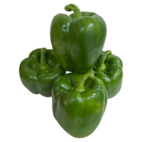 Green Pepper | Shimla Mirch | Bholal Marchu | Bhopali Mirchi | Kudamilaga |Kuda Mulagu |