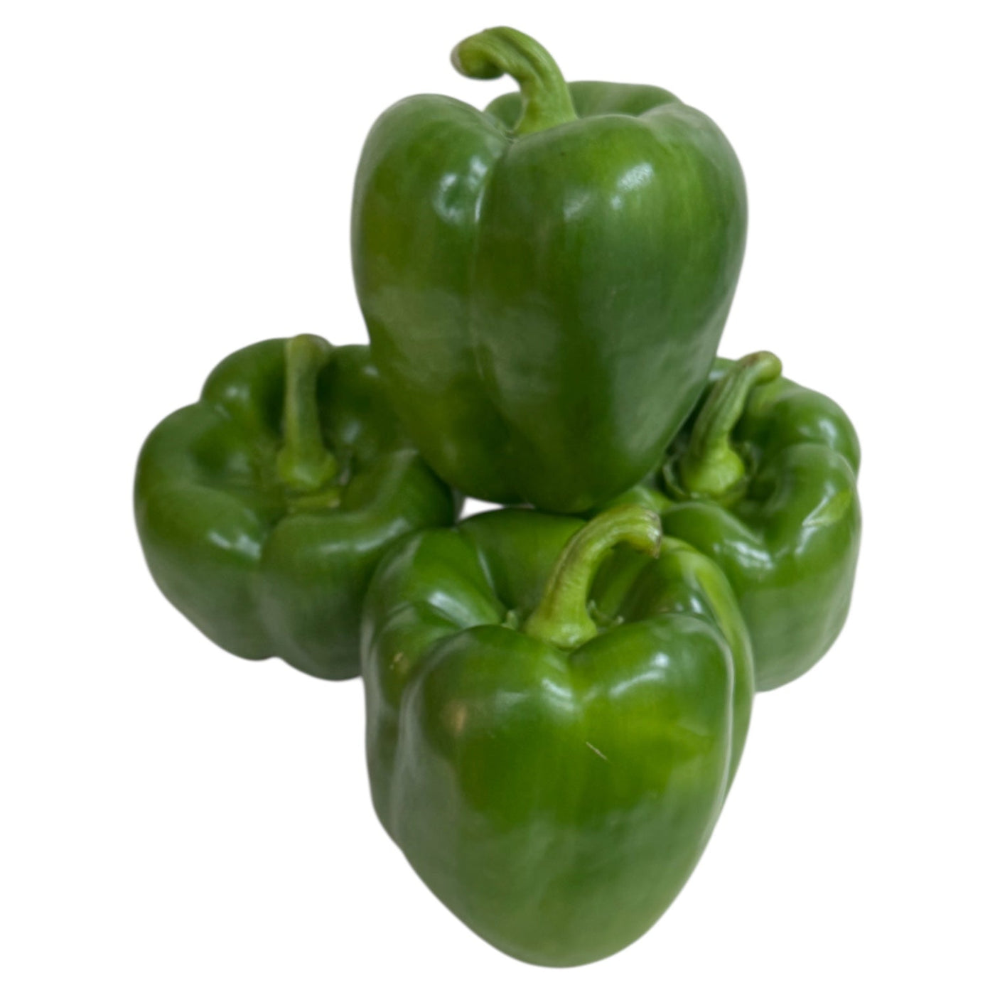 Green Pepper | Shimla Mirch | Bholal Marchu | Bhopali Mirchi | Kudamilaga |Kuda Mulagu |