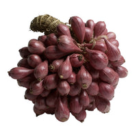 Shallot Onion