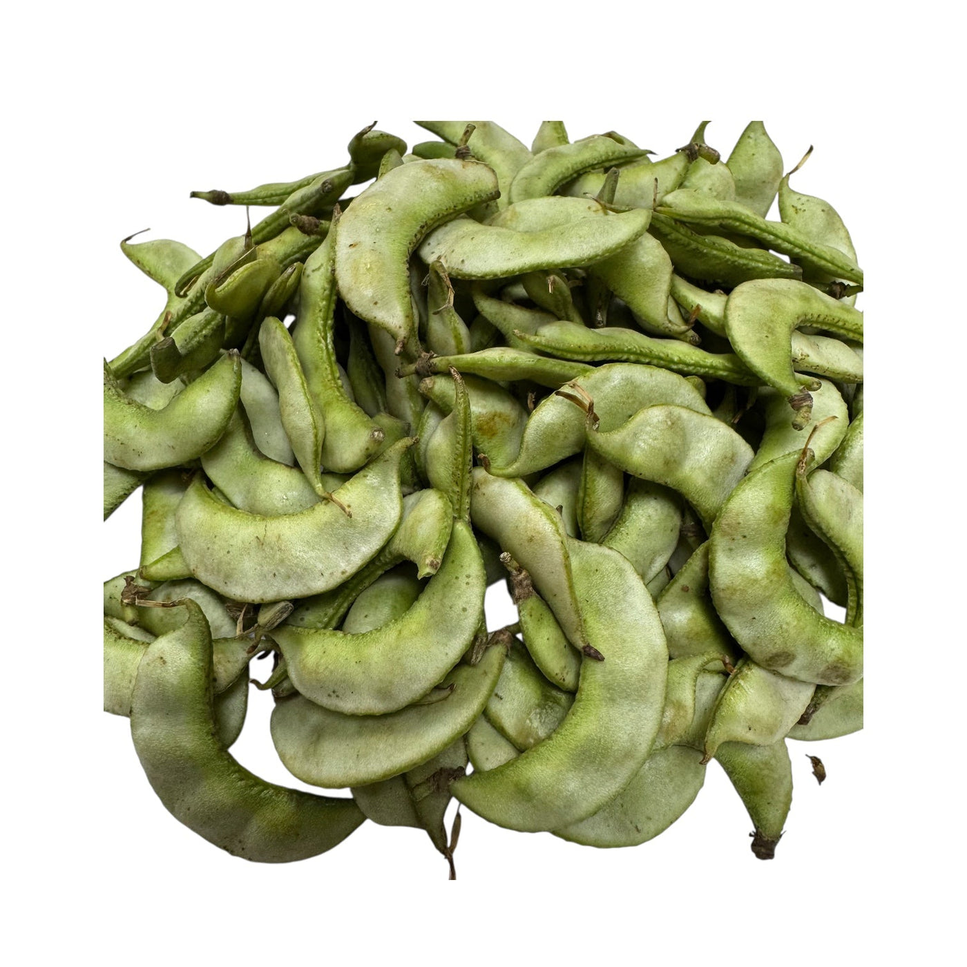Surti Papdi