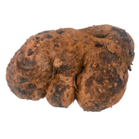 Kand (Ratalu)