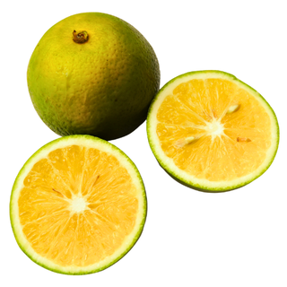 Fruits
