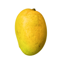 Alphonso Mango 12pcs