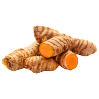 Turmeric