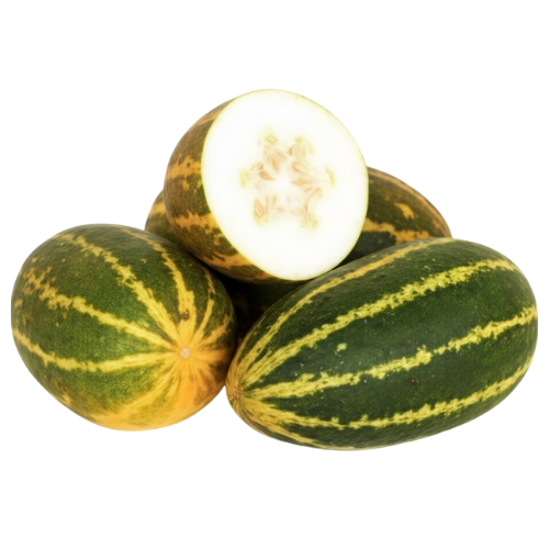 Vellarikka | Madras Cucumber |