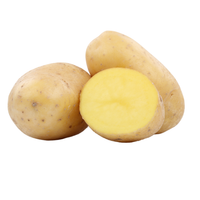 White Potato Bag