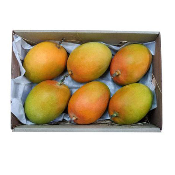 Alphonso Mango Box Approx 4-6Pcs - Image 2