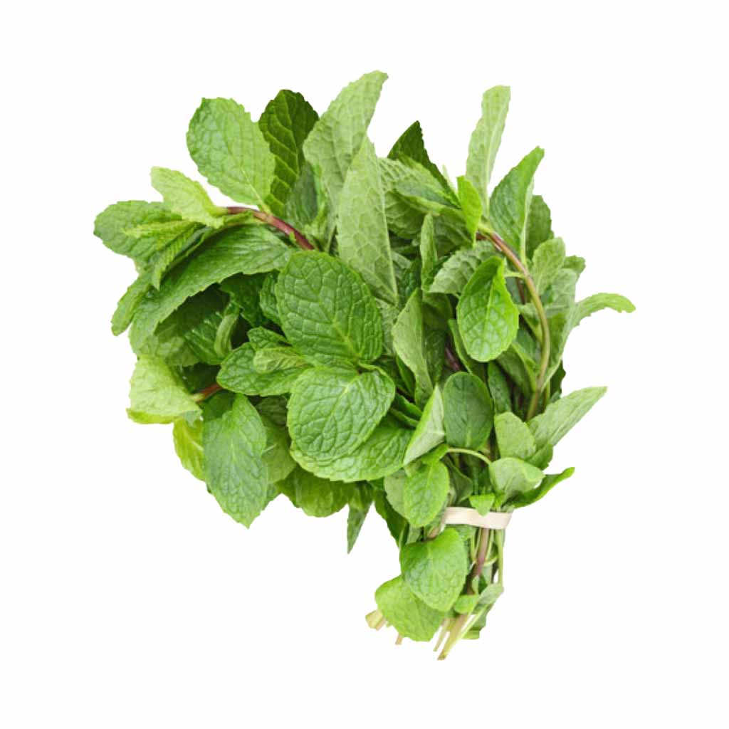 Mint Bunch