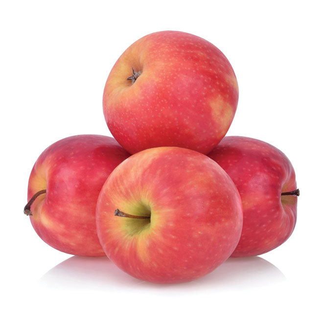 Apple Pink Lady x 4