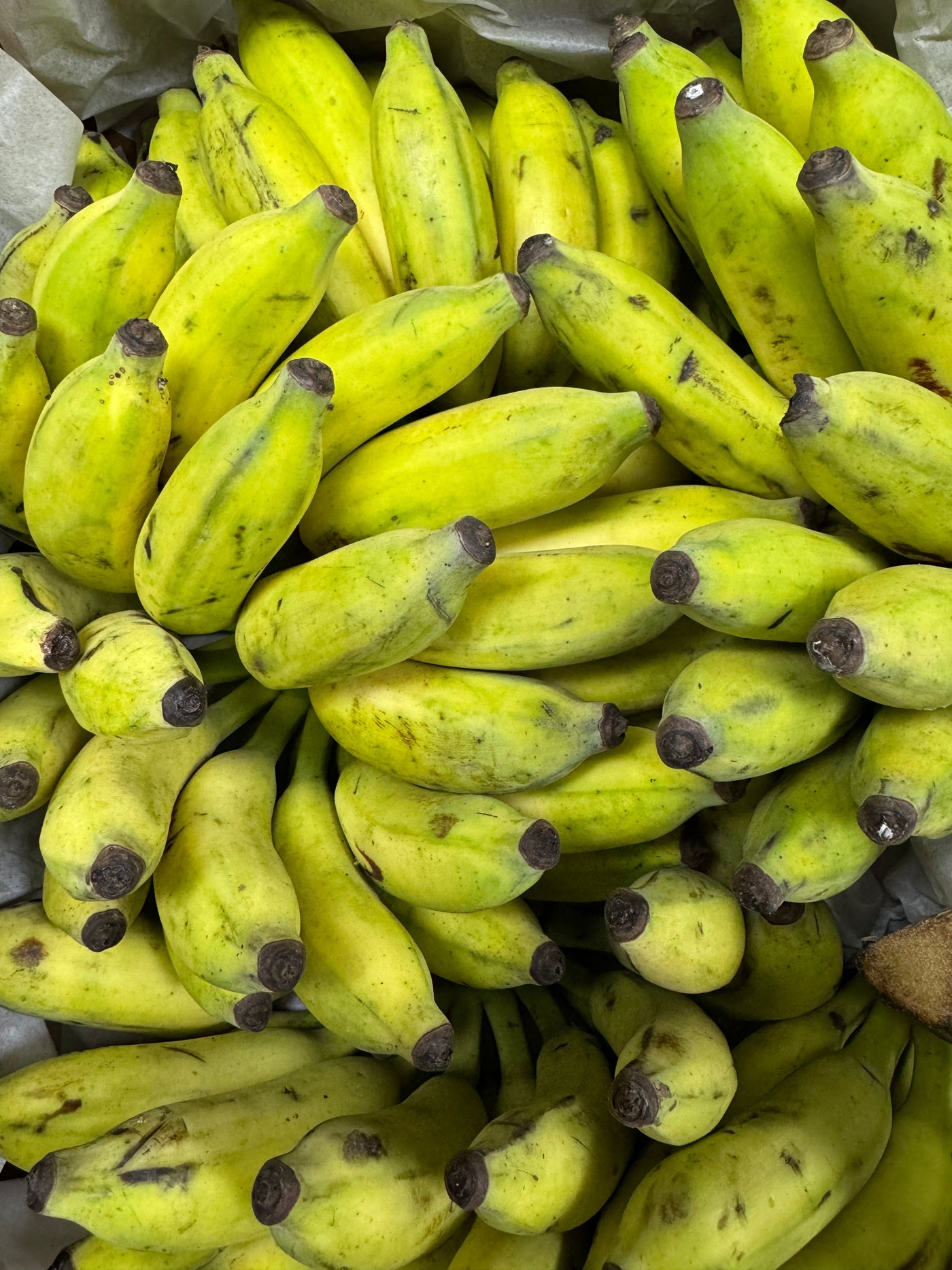 Elaichi Banana