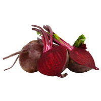 Beet Root | Chukandar | Beet |Beetroit Kijangu |