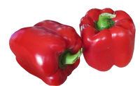 Capsicum Red
