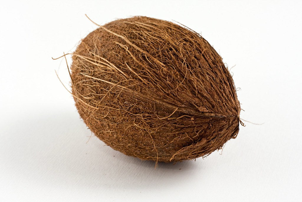 Coconut Fresh