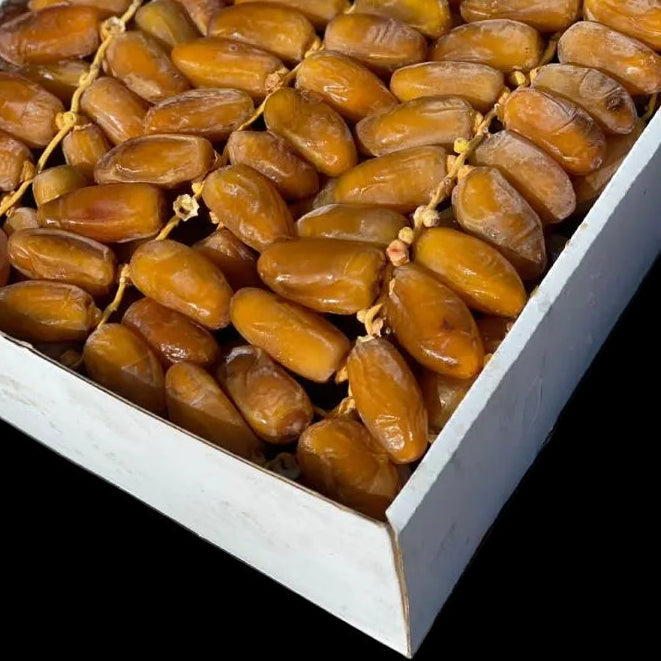 Najm Althimar Deglet Nour Premium Libyan Dates 500g - Image 3