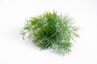 Dill Bunch