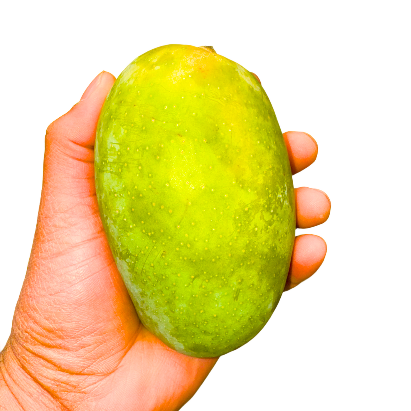 Kesar Mango 6pcs
