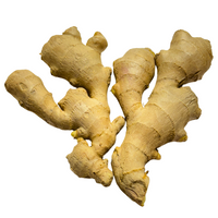 Ginger
