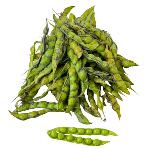 Tuvar