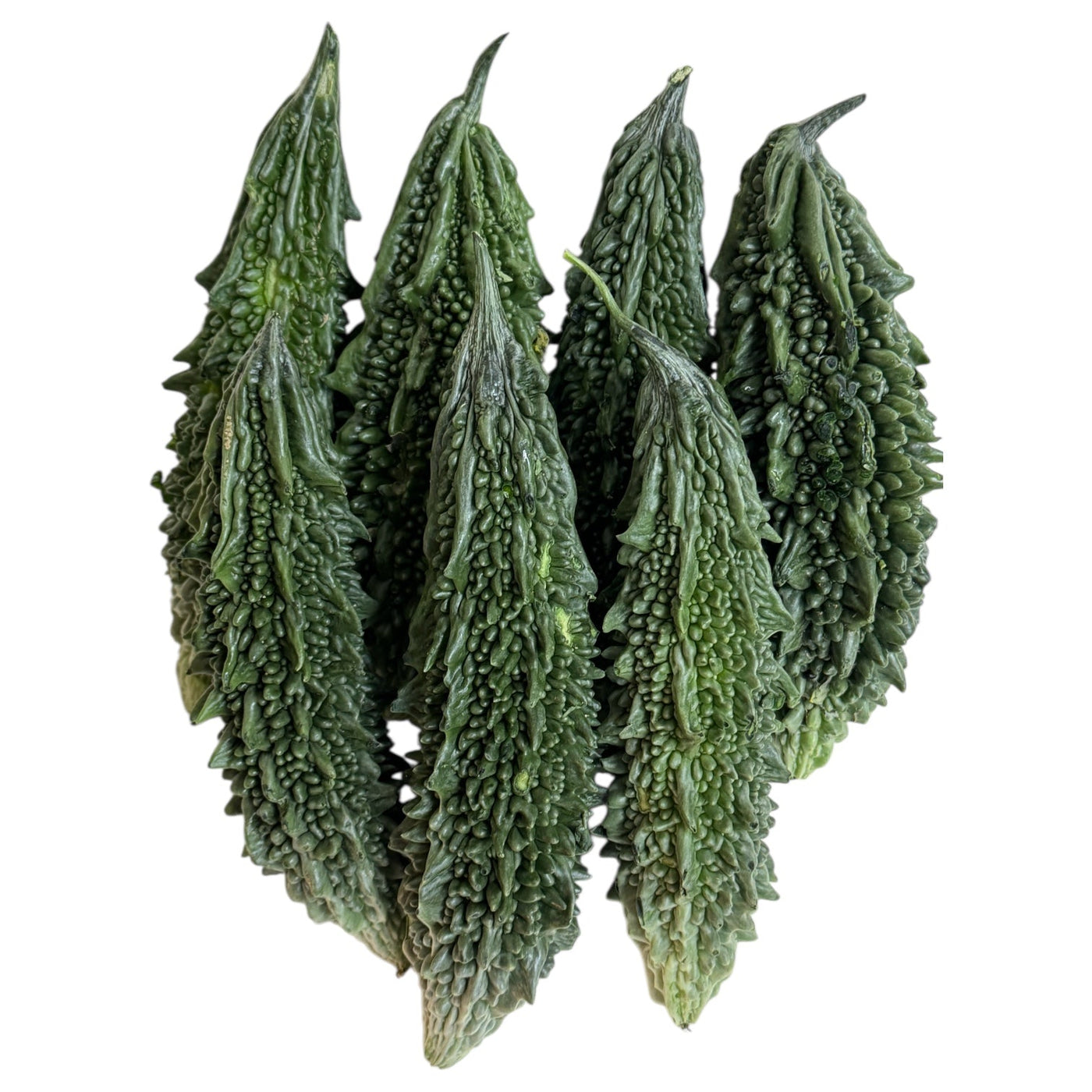 Karela | Bitter Gourd | Bitter Melon | Karelu | Karla | Pavara Kaiy | Kakara Kayi | Pavakka |