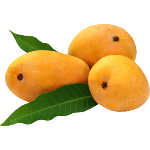 Grand Size Kesar Mango 12pcs