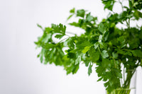 Parsley Bunch