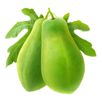 Raw Papaya