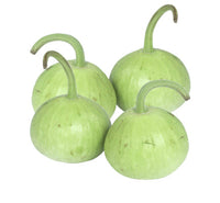 Dudhi Round x 1 approx 200g
