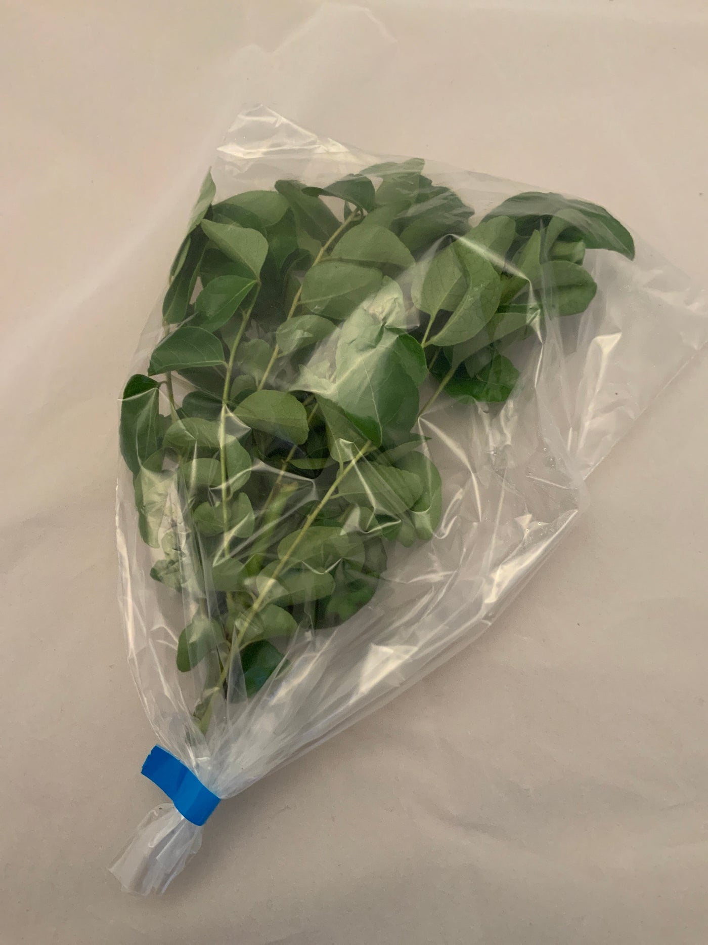Curry Leaves